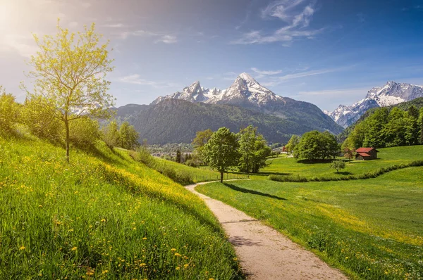 Idyllic alpine landscape with blooming meadows and snow-covered mountain tops — Stock Photo, Image