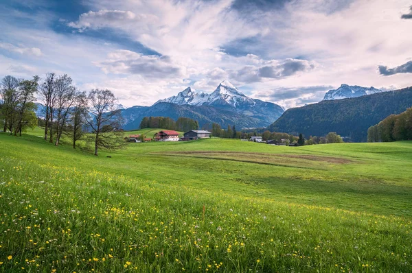 Ідилічний альпійський пейзаж з зеленими луками, фермами та засніженими гірськими вершинами — стокове фото