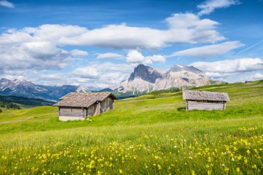 Alpe di Siusi, South Tyrol, İtalya
