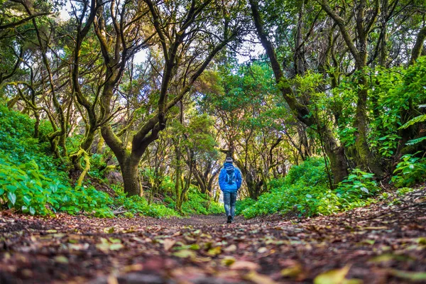 Escursioni dell'uomo attraverso la foresta mistica, El Hierro, Isole Canarie, Spagna — Foto Stock