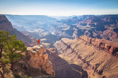 Uzun yürüyüşe çıkan kimse Grand Kanyon Milli Parkı, Arizona, ABD