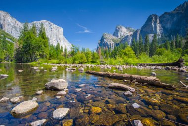 Yosemite Valley in summer, California, USA clipart