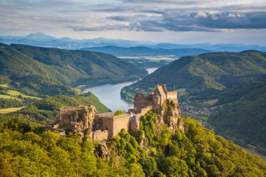 Aggstein kale harabe Wachau Vadisi, Avusturya