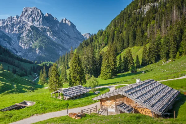 Geleneksel dağ chalets yaz aylarında Alpleri'nde — Stok fotoğraf