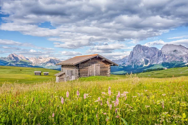 Alpe di Siusi, Alto Adige, Italia — Foto Stock