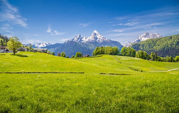 Idyllic landscape in the Alps with fresh green meadows and snowcapped mountain peaks