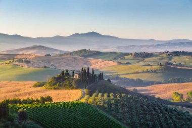 Doğal Tuscany manzaraya gündoğumu, Val d'Orcia, İtalya