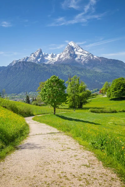 Paesaggio idilliaco nelle Alpi con sentiero escursionistico e prati verdi — Foto Stock