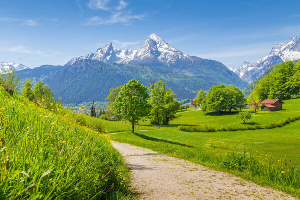 Idyllic scenery in the Alps with hiking trail and green meadows 