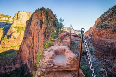 Hiking trail Zion National Park, Utah, ABD'deki iniş melekler