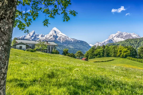 Idilli nyári táj hagyományos farm ház az Alpokban — Stock Fotó