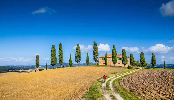 Scenic Tuscany landscape with farmhouse and cyclist on a sunny day in summer — Stock Photo, Image