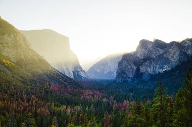 Yosemite Tunnel View at sunrise, California, USA clipart