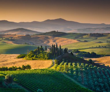 Altın gün ışığına inişli çıkışlı tepeler ve vadiler ile doğal Tuscany manzara