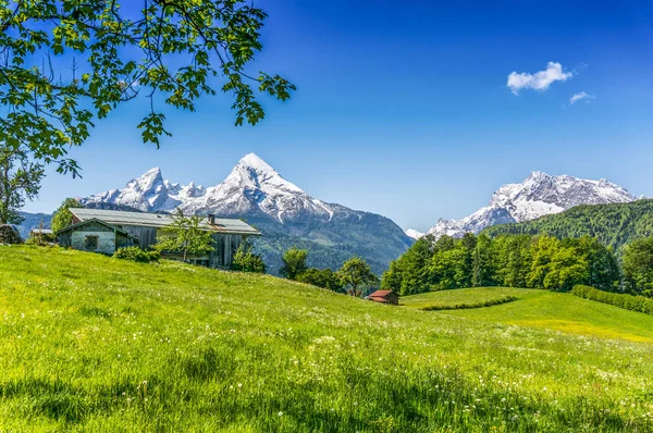 Idilli nyári táj hagyományos farm ház az Alpokban — Stock Fotó