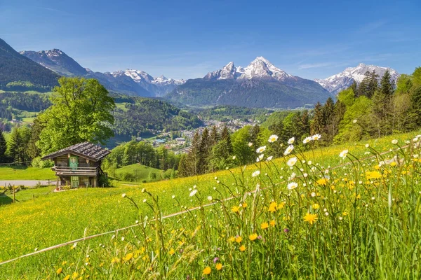 Альпійські пейзажі з традиційним гірським шале влітку — стокове фото