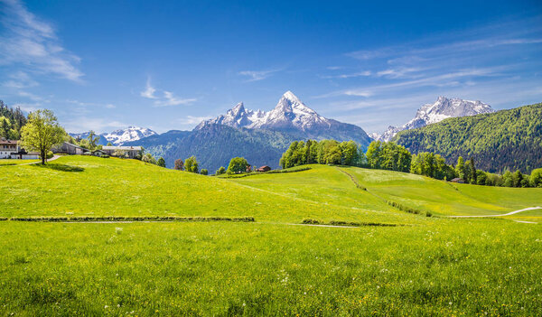 Idyllic landscape in the Alps with fresh green meadows in summer