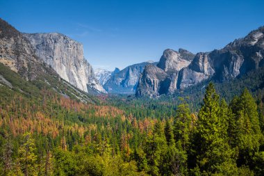 Yosemite tünel görünümünde yaz, California, ABD