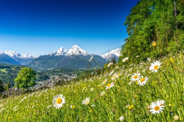 Ünlü Watzmann dağda ilkbahar, Nationalpark Berchtesgadener Land, Bavyera, Almanya arka planda ile Bavyera Alpleri'nde güzel manzara panoramik manzaralı
