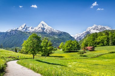 Pastoral yaz manzara Alpleri'nde Nationalpark Berchtesgadener Land, Bavyera, Almanya