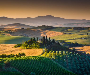 Altın gün ışığına inişli çıkışlı tepeler ve vadiler ile doğal Tuscany manzara