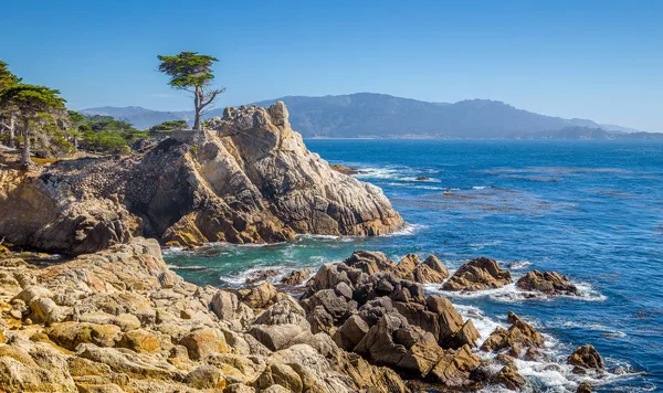 Samotny cyprys na malownicze 17 mil jazdy, Pebble Beach, California, Usa — Zdjęcie stockowe