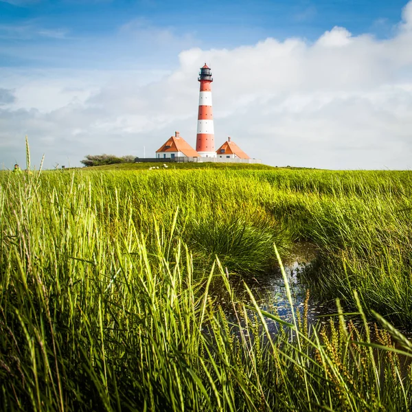 Beautiful view of landscape with small pond and lighthouse in the background at North Sea in Nordfriesland, Schleswig-Holstein, Germany — Stock Photo, Image
