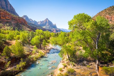 The Watchman Peak ve Virgin River, Utah, Usa ile Zion Ulusal Parkı manzarası