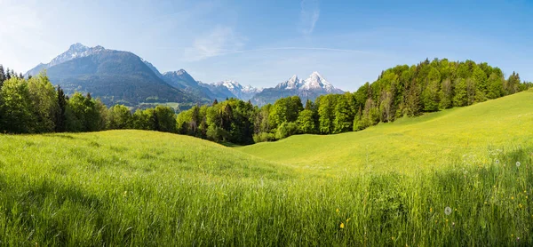 Paisaje idílico en los Alpes con colinas y cumbres alpinas nevadas en primavera —  Fotos de Stock