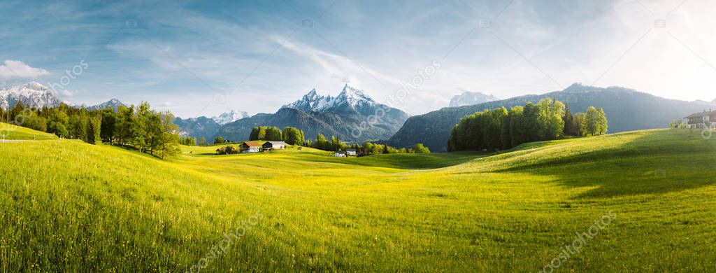 Idyllic landscape in the Alps with blooming meadows in springtim