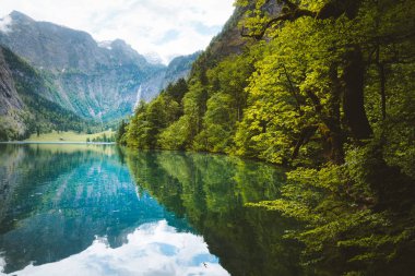 Yaz aylarında Manzara Gölü Obersee, Bavyera, Almanya