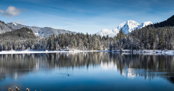 Maravillas idílicas de invierno con lago de montaña en los Alpes — Foto de Stock