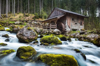 Bulutlu bir karamsar günde mistik ormanda eski terk edilmiş değirmen