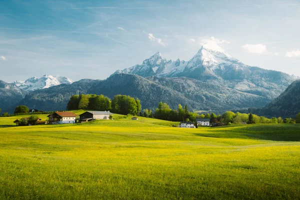 Ειδυλλιακό τοπίο στις Άλπεις με ανθισμένα λιβάδια την άνοιξη — Φωτογραφία Αρχείου
