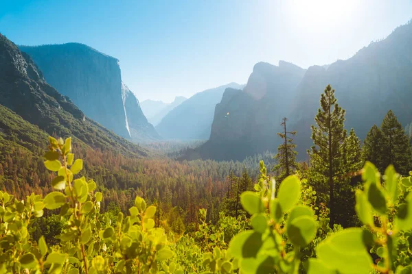 Národní park Yosemite při východu slunce, Kalifornie, USA — Stock fotografie