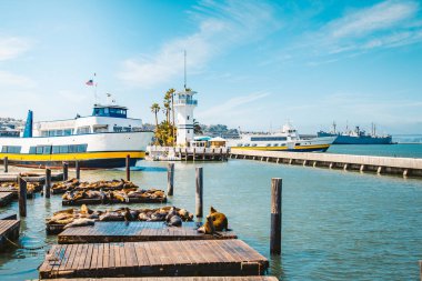 Yaz aylarında ünlü deniz aslanları ile tarihi Pier 39 güzel görünümü, Fisherman's Wharf ilçe, merkezi San Francisco, Kaliforniya, ABD