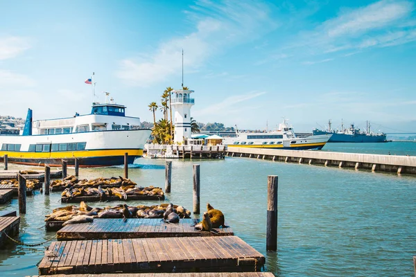 Όμορφη Θέα Της Ιστορικής Pier Διάσημα Θαλάσσια Λιοντάρια Καλοκαίρι Συνοικία — Φωτογραφία Αρχείου