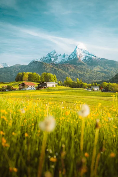 Schöne Aussicht Auf Idyllische Alpine Berglandschaft Mit Blühenden Wiesen Und — Stockfoto