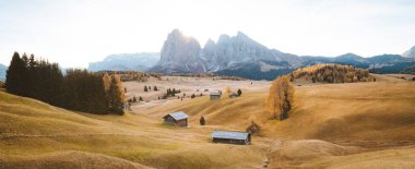 Manzaralı Alpe di Siusi manzaralı geleneksel ahşap dağ tebeşirlerinin güzel manzarası. Arka planda ünlü Langkofel dağ zirveleri. Gün doğumunda altın sabah ışıkları, Dolomitler, Güney Tyrol, İtalya.