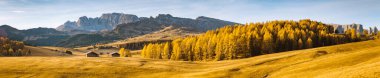 Manzaralı Alpe di Siusi manzaralı geleneksel ahşap dağ tebeşirlerinin güzel manzarası. Arka planda ünlü Langkofel dağ zirveleri. Gün doğumunda altın sabah ışıkları, Dolomitler, Güney Tyrol, İtalya.