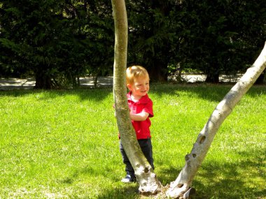 Küçük çocuk ağacın yanında.