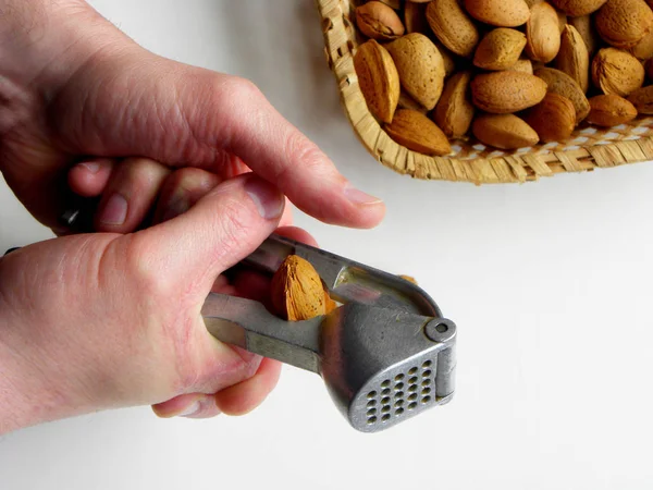 Nutcracker Diadakan Tangan Laki Laki Dan Almond Retak Terisolasi Pada — Stok Foto