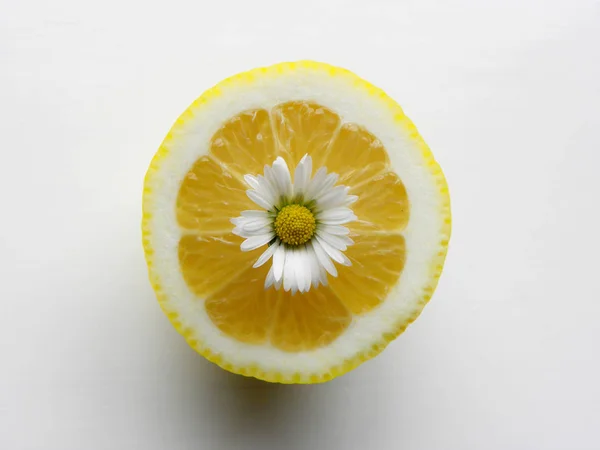 白い背景にレモンの切り身を閉じ — ストック写真