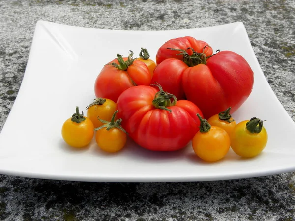 Čerstvá Červená Rajčata Bílém Pozadí Žlutá Cherry Rajčata — Stock fotografie