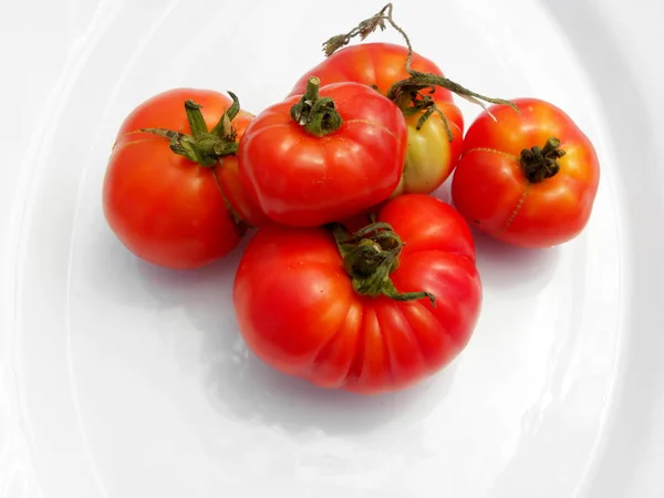 Tomates Rojos Frescos Sobre Fondo Blanco —  Fotos de Stock