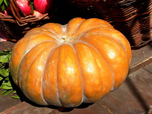 Pumpkin Wooden Table — Stock Photo, Image