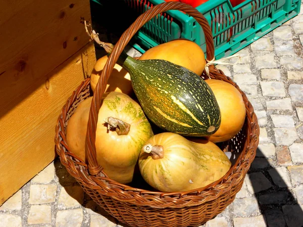 Abóboras Cesta Fundo Madeira — Fotografia de Stock