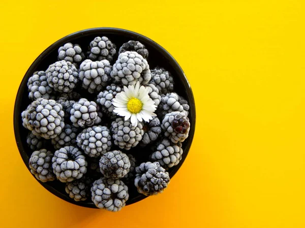 Sarı arka planda donmuş böğürtlen