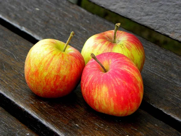 Trois Pommes Rouges Jaunes Mûres Rapprochent — Photo