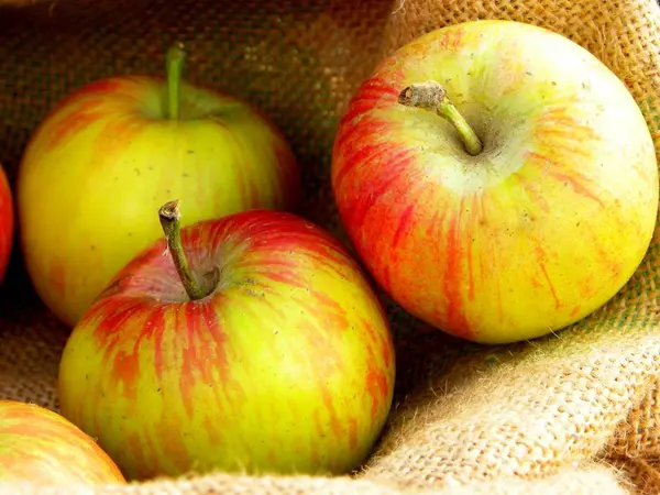 Trois Pommes Rouges Jaunes Mûres — Photo